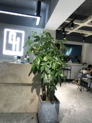 -HG美发设计沙龙