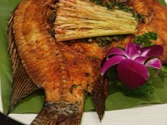 -紫滇源云南生态菜(丹凤街店)