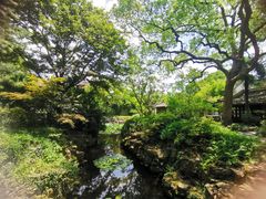 -上海醉白池公园