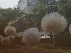 -Dough&Joe团憩(瑞虹天地月亮湾店)