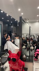 -西安F+造型