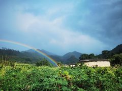 -福建土楼（华安）旅游区•大地土楼群