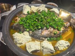 鲜青椒爽麻烤鱼-探鱼·鲜青椒爽麻烤鱼(番禺万达店)