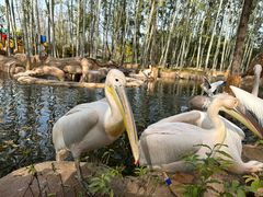 -北京野生动物园