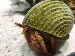 -太平洋海底世界