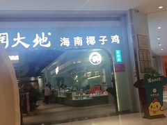 -春润大地海南椰子鸡(沙井京基百纳广场店)