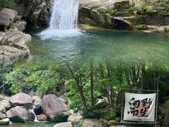 -大鄣山卧龙谷景区