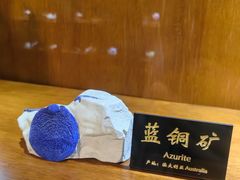 -青岛德国总督楼旧址博物馆