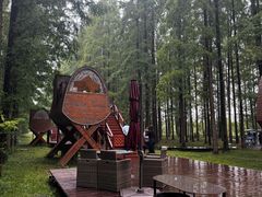 -黄海国家森林公园