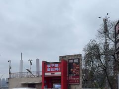 -李子坝梁山鸡(李子坝大鸡哥店)