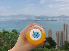 -YHA赛马会摩星岭青年旅舍(香港岛)