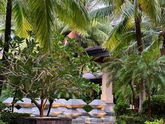 -海南清水湾莱佛士酒店