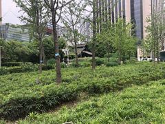 -活水公园