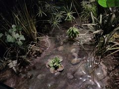 -正佳自然科学博物馆