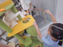 -喵园·猫主题咖啡厅·撸猫·猫咖(国贸店)