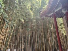 -潭柘寺景区