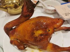 -稻香酒家(天河城店)