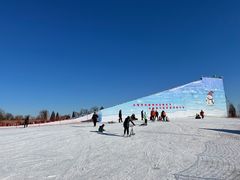 -绿野森林乐园冰雪季