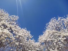 -睦南公园