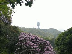 -梧桐山风景名胜区