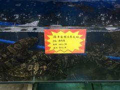 -蚝专家(北滘店)