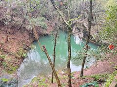 -宁波市保国寺古建筑博物馆