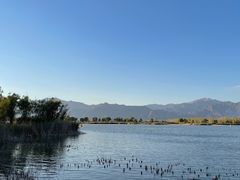 -野鸭湖国家湿地公园