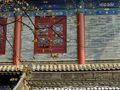 -西安大兴善寺