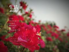-尚贤河湿地