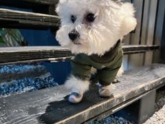 -J Create城市露营咖啡·简餐·宠物(上海动物园店)