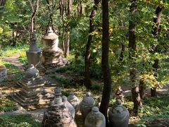 -北京上方山国家森林公园