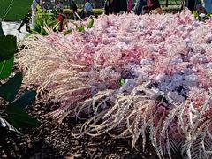 -温州一家人美食(西木头市店)