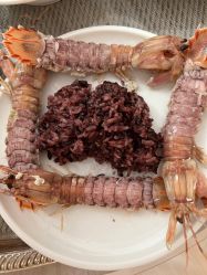 -皇家月府月子中心(沈阳店)