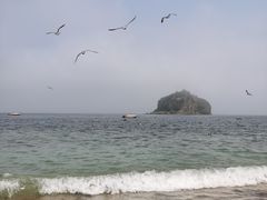 -棒棰岛宾馆景区