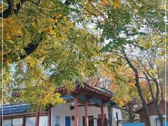 -千佛山风景名胜区