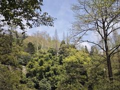 -莫干山风景区
