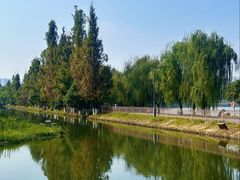 -洋湖国家湿地公园