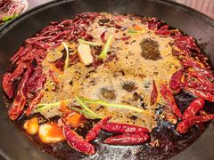 -朱光玉火锅馆(正弘城店)