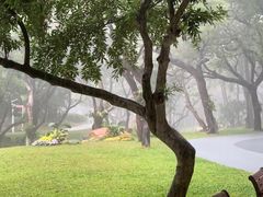 -人民公园(罗湖区)