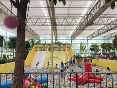 -南宫五洲植物乐园