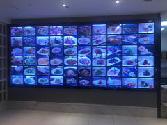 -道道鲜·崇明私房菜(五角场店)