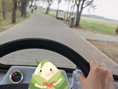 游乐设施-野鸭湖国家湿地公园