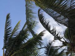 -三亚太阳湾柏悦酒店