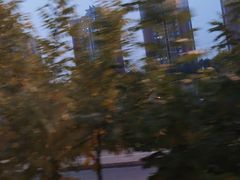 -中国人民解放军总医院(301医院)