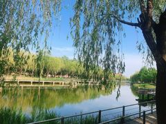 -中关村生命科学园