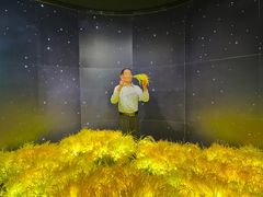 -厦门帷幕开啦红地毯蜡像艺术馆