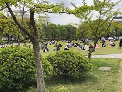 -上海第二工业大学(金海路校区)