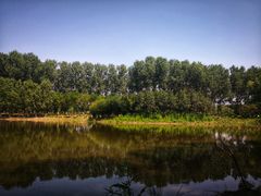 -东郊湿地公园