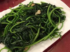 炒番薯苗-东馆和天下特色餐饮(工农店)