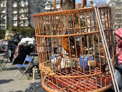 -东水关遗址公园